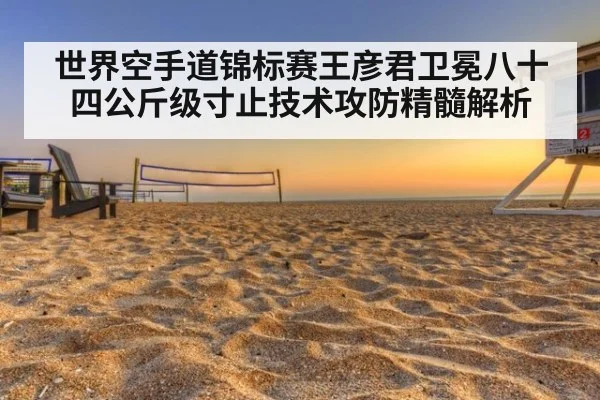 世界空手道锦标赛王彦君卫冕八十四公斤级寸止技术攻防精髓解析