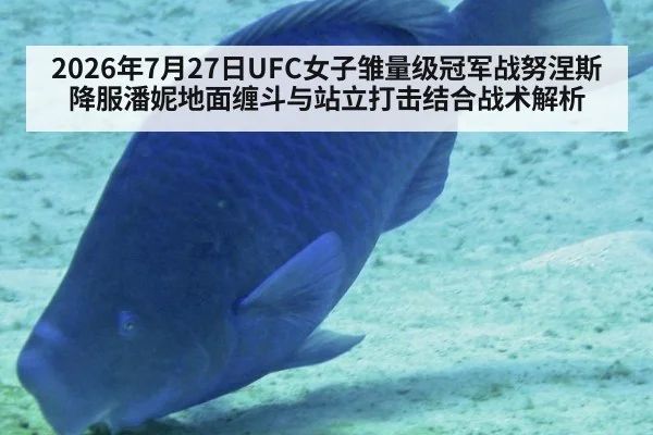 2026年7月27日UFC女子雏量级冠军战努涅斯降服潘妮地面缠斗与站立打击结合战术解析